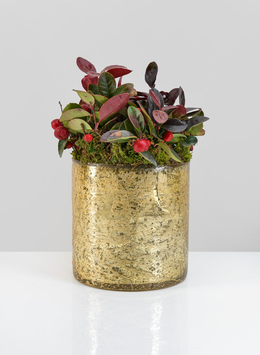5in Tall Gold Glass Vase Decor Jamaligarden