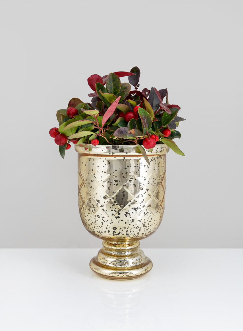 7in Tall Etched Gold Glass Hurricane Decor Jamaligarden
