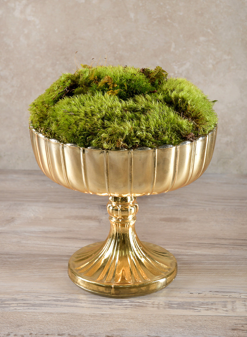 Super Moss Preserved Sheet Moss Decor Jamaligarden