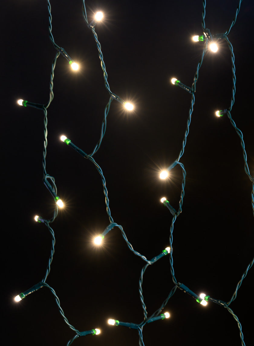 12ft Long 50 Light LED Warm White Battery Operated White Ferry Light, Green Cord Decor Jamaligarden