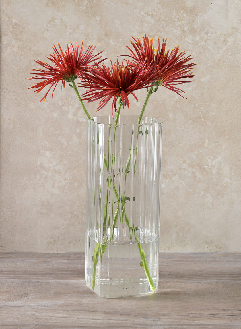 10in Tall Vendome Rounded Square Ribbed Glass Vase Decor Jamaligarden