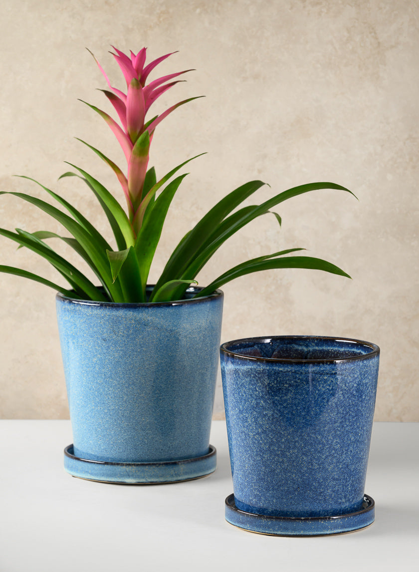 Ming Ceramic Pot with Saucer, Ice Blue Decor Jamaligarden