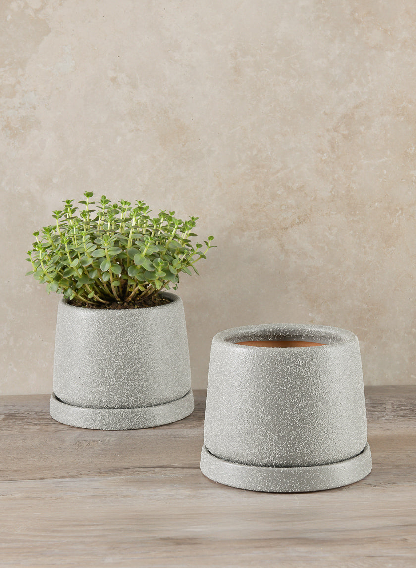 4.5in Tall Sigtura Sand Grey Indoor Ceramic Pot with Saucer Decor Jamaligarden