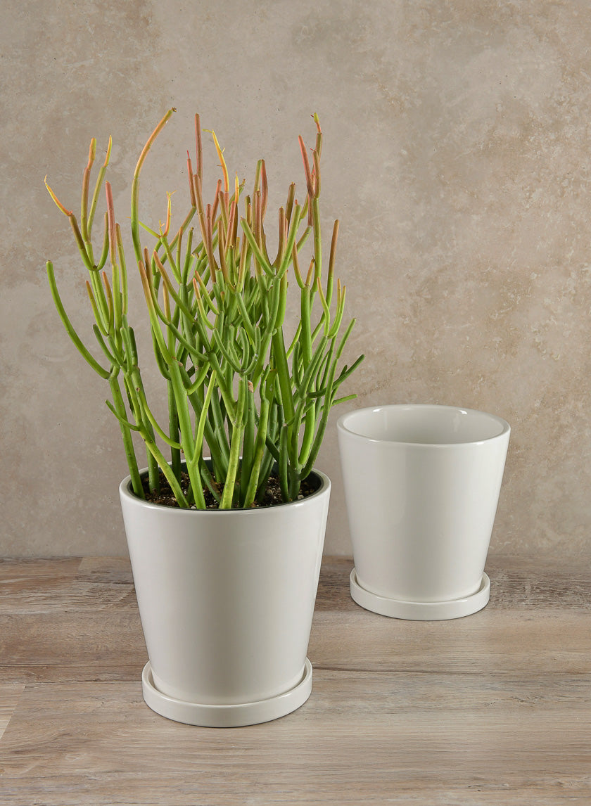 7in Tall Rouen White Ceramic Pot with Saucer Decor Jamaligarden