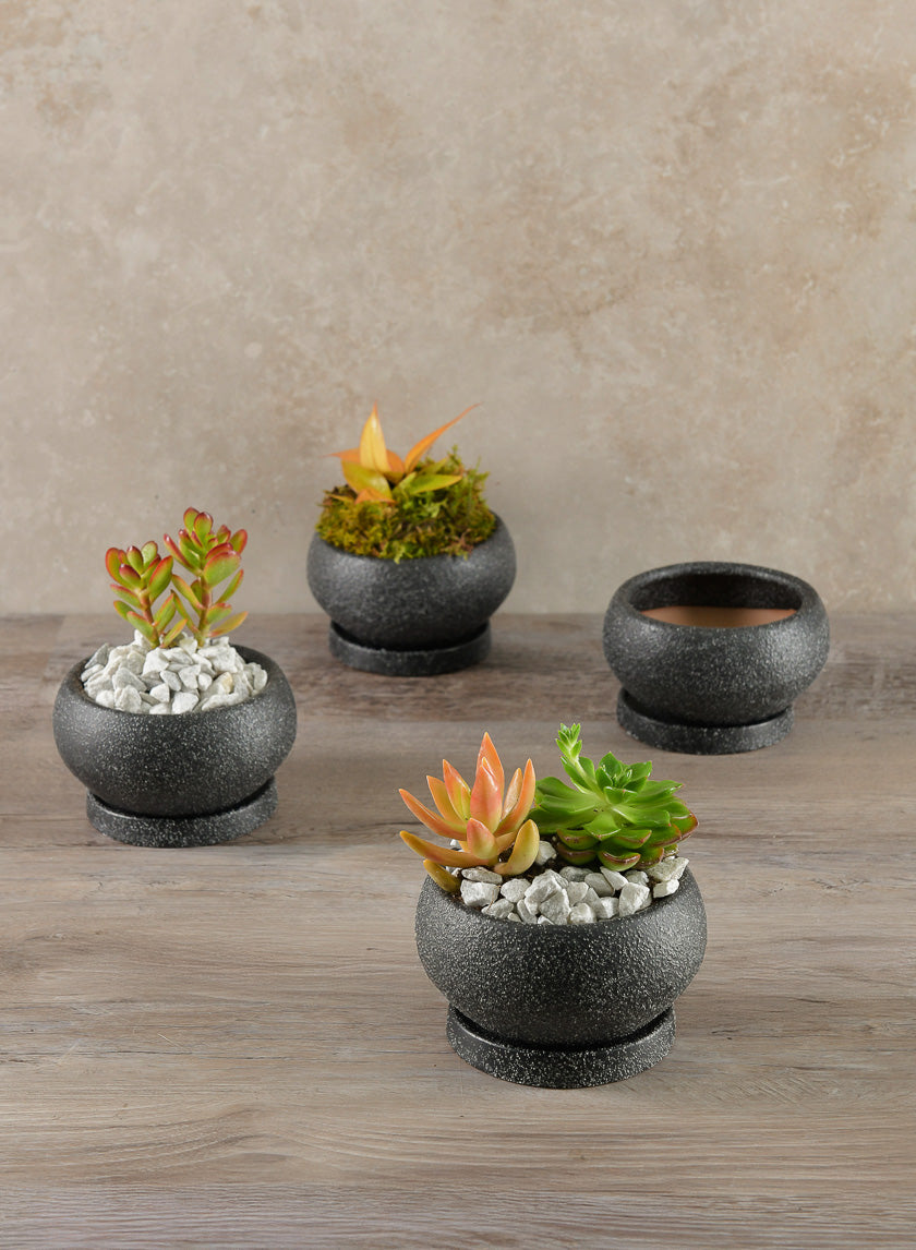 4.5in Wide Vasteras Sand Black Low Pot with Saucer Decor Jamaligarden