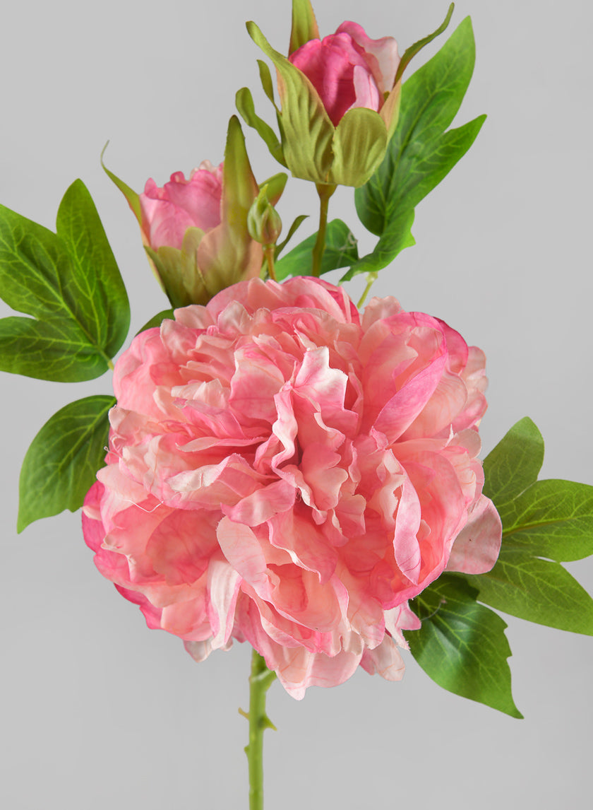 22in Long Spring Blooming with Buds Pink Peony Stem Decor Jamaligarden