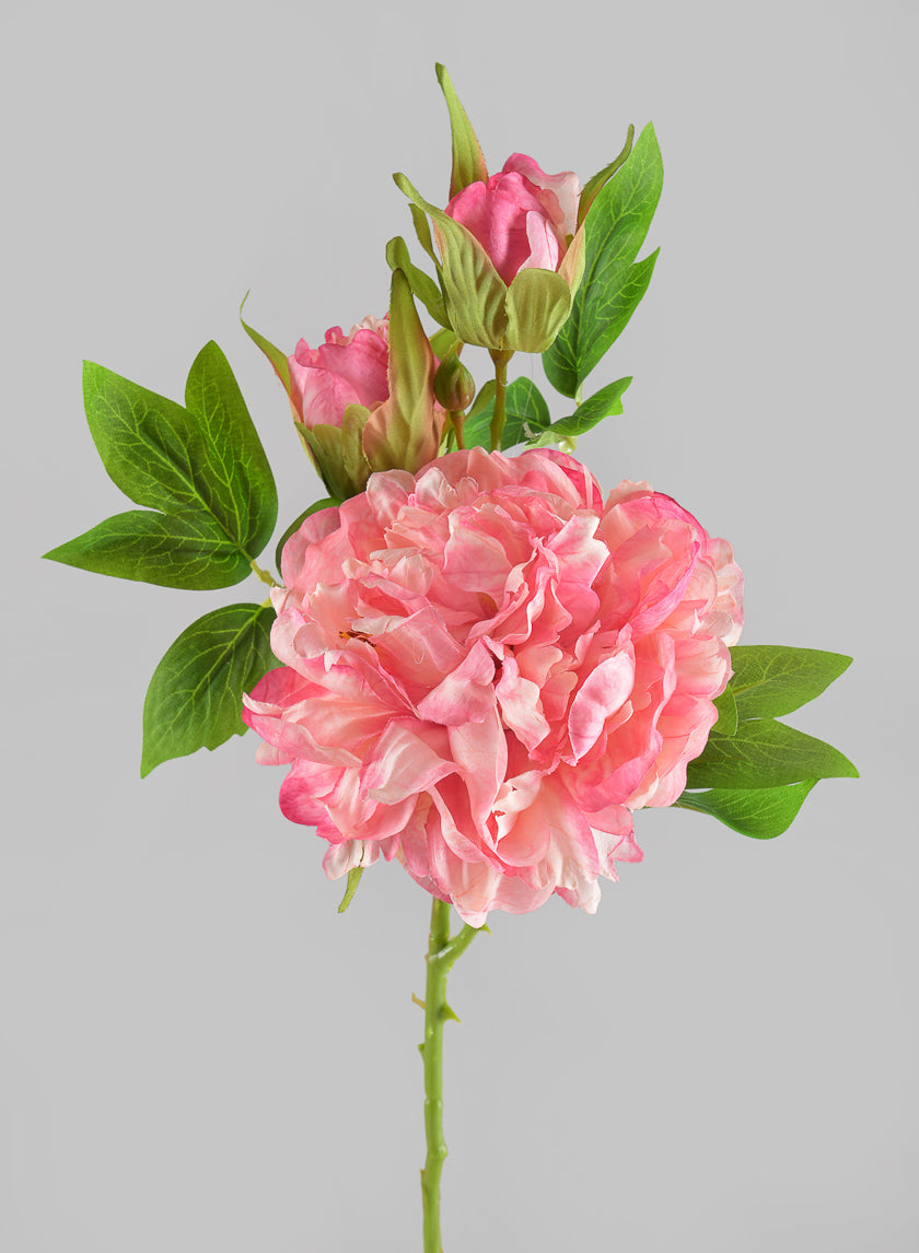 22in Long Spring Blooming with Buds Pink Peony Stem Decor Jamaligarden