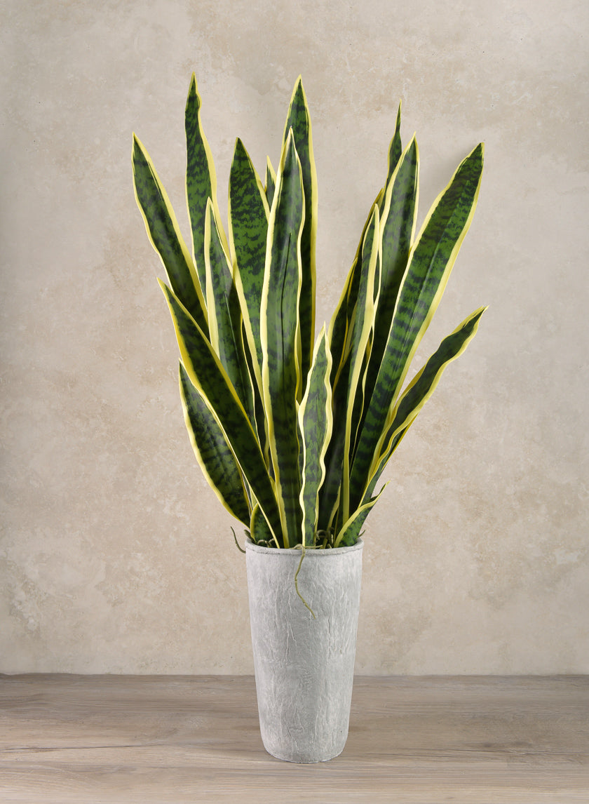 30in Long Real Touch Sansevieria Stem Pick Decor Jamaligarden