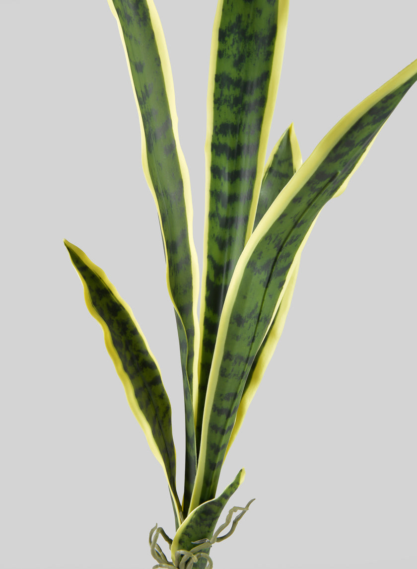 30in Long Real Touch Sansevieria Stem Pick Decor Jamaligarden