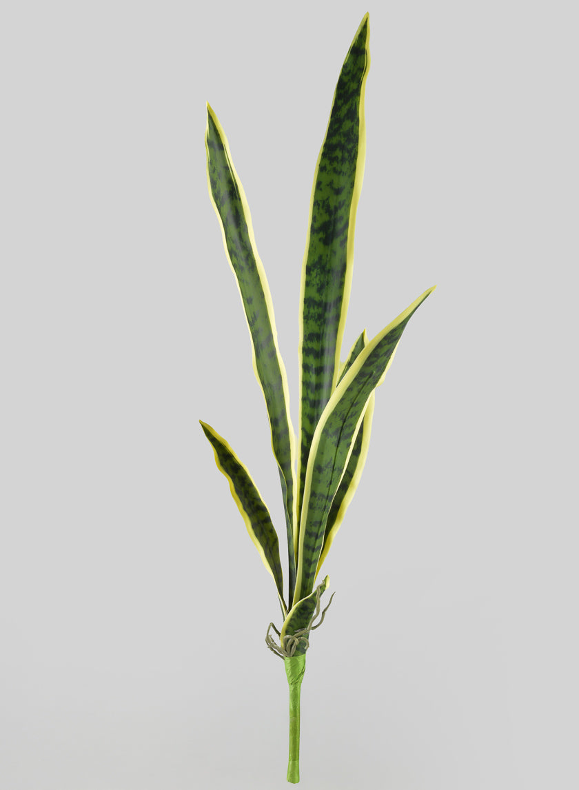 30in Long Real Touch Sansevieria Stem Pick Decor Jamaligarden