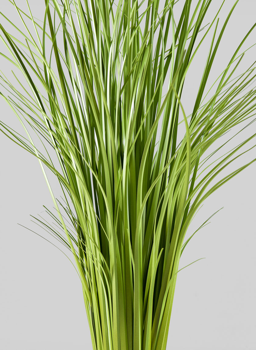 30in Tall Real Look Onion Grass Display Bunch Decor Jamaligarden