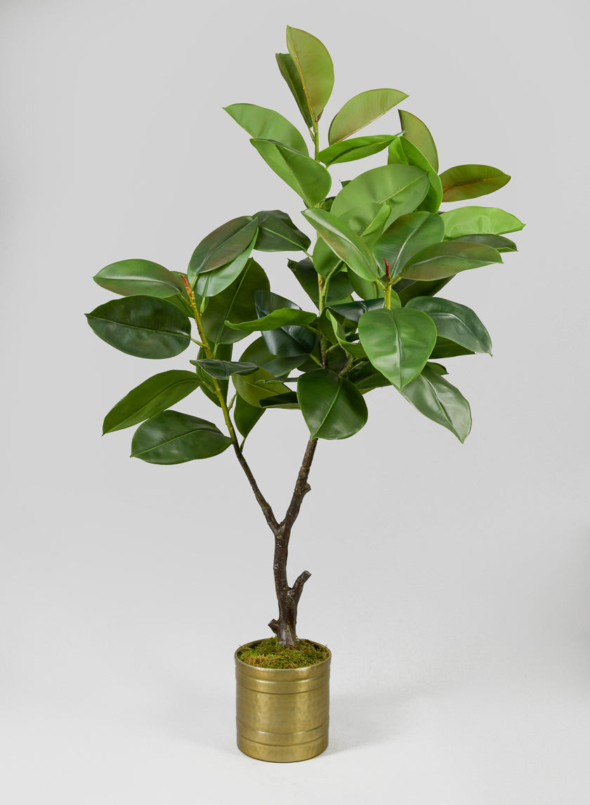 5ft Tall Potted Real Touch Rubber Tree Decor Jamaligarden