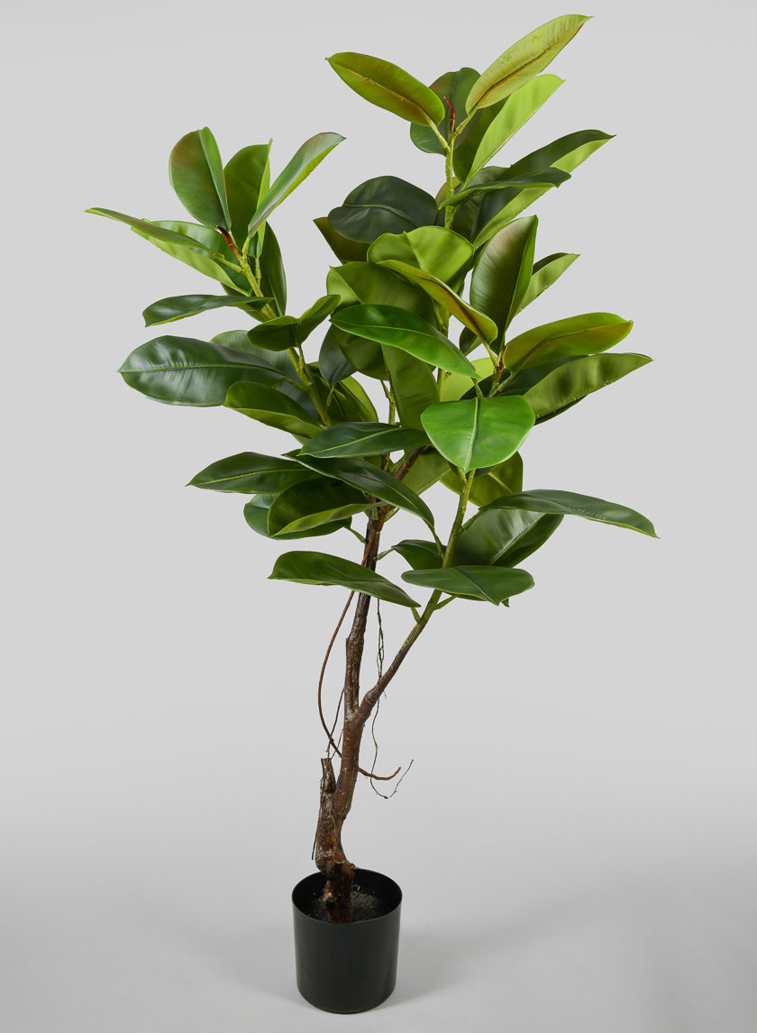 5ft Tall Potted Real Touch Rubber Tree Decor Jamaligarden