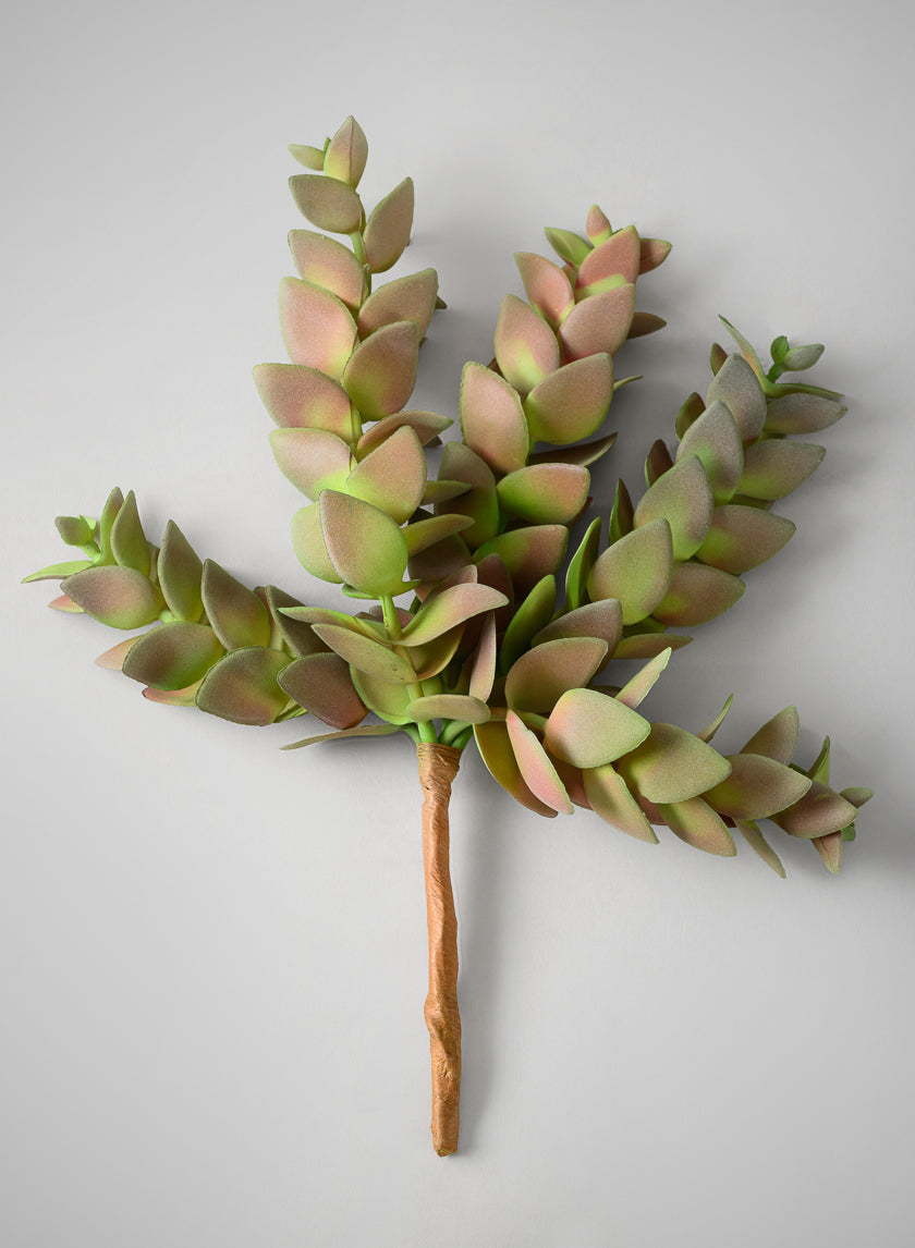 10in Long Trailing Succulent Pick, Case of 12 Decor Jamaligarden