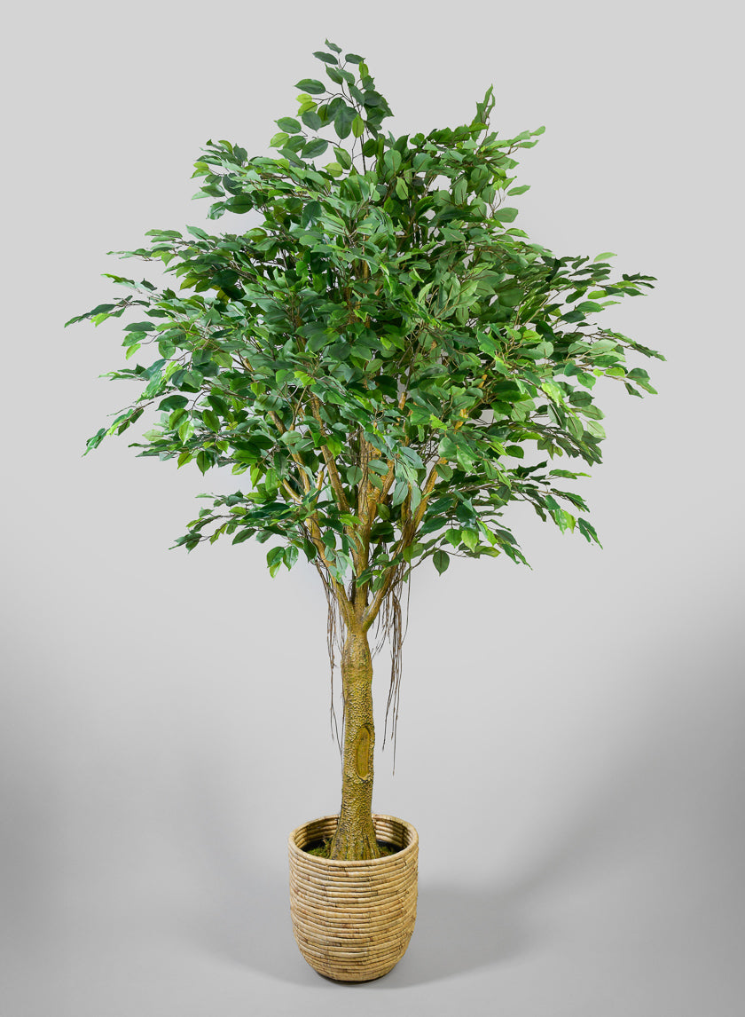 7.5ft Tall Real Touch Giant Ficus Tree Decor Jamaligarden