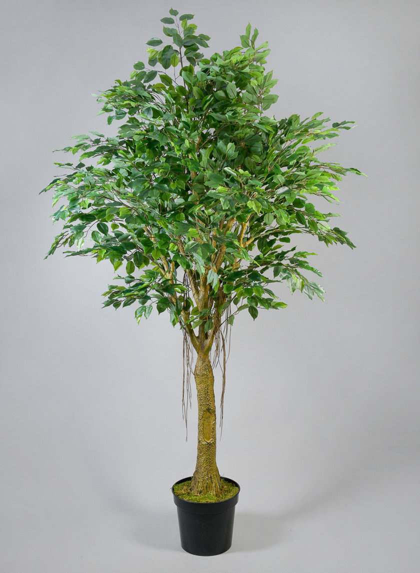 7.5ft Tall Real Touch Giant Ficus Tree Decor Jamaligarden