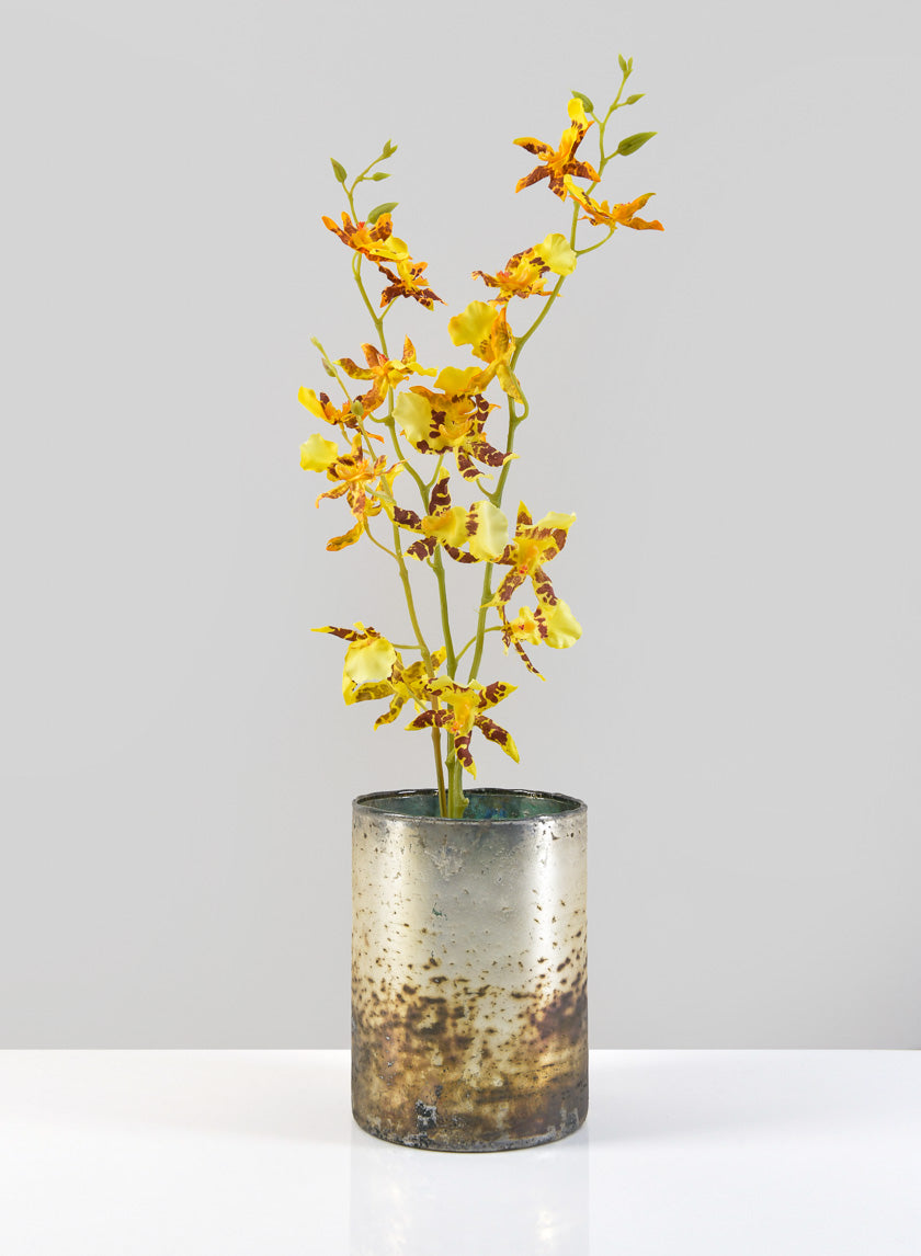 5.5in Tall Avignon Matte Silver Glass Cylinder Decor Jamaligarden