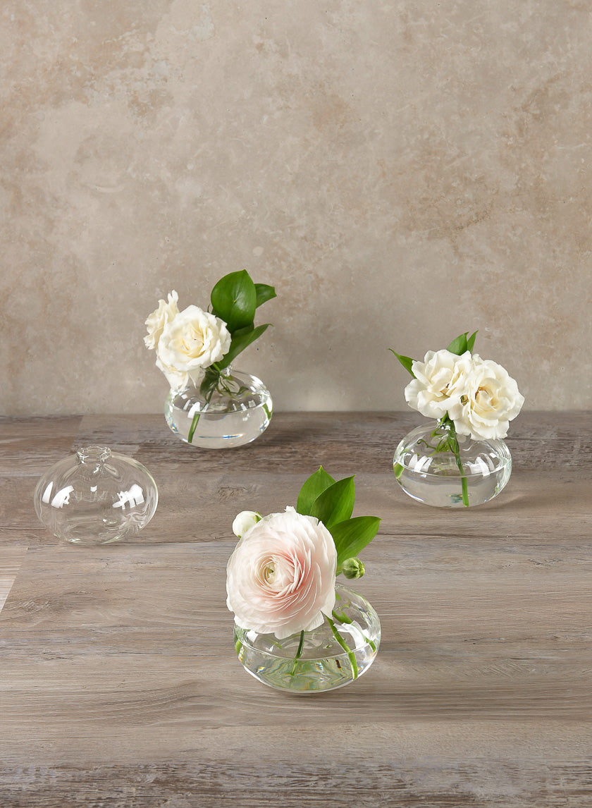 4in Wide Veroce Glass Vase, Mini Decor Jamaligarden