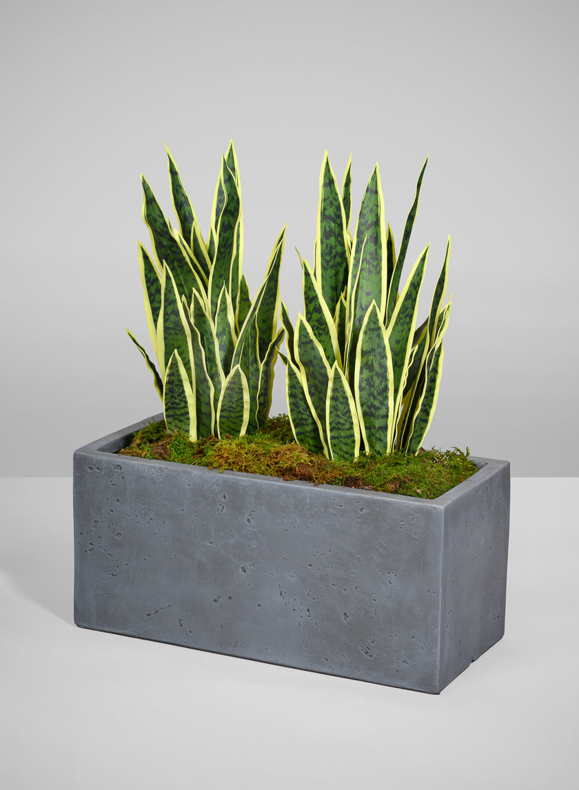 Longine Patio All Weather Light Weight Speckle Grey Polyresin Rectangular Planters Decor Jamaligarden