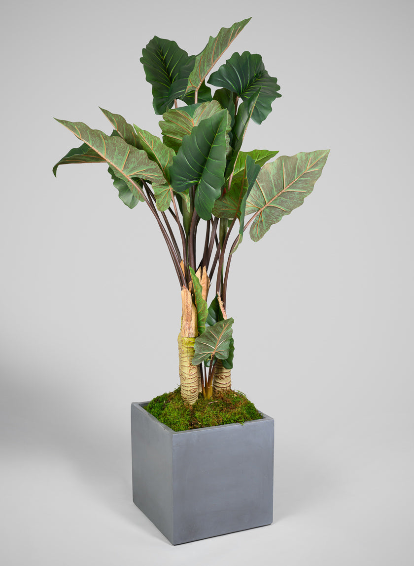 Venetian Grey All Weather Light Weight Polyresin Cube Planters Decor Jamaligarden