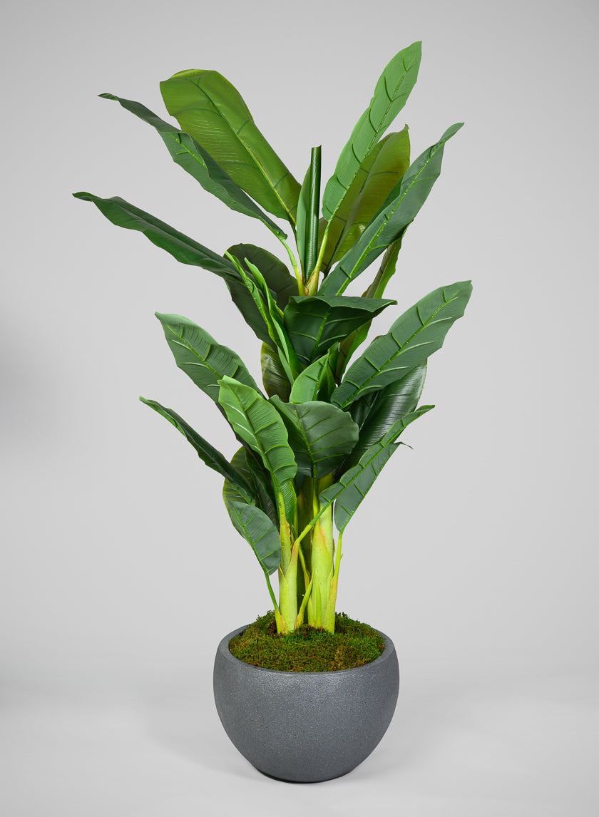 All Weather Light Weight Speckle Black Polyresin Planters Decor Jamaligarden