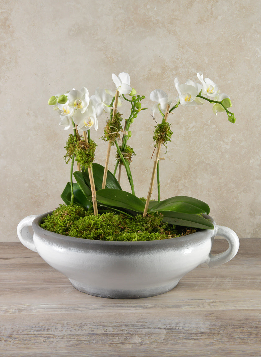 15in Wide Andra Ceramic White Glazed Bowl Decor Jamaligarden