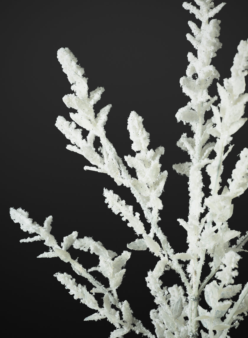 24in Long Winter Snow Look Alpine Mix Pick, Case of 12 Decor Jamaligarden
