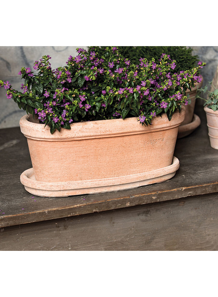 13.5in Long Etrusco Terracotta Oval Window Box Decor Jamaligarden