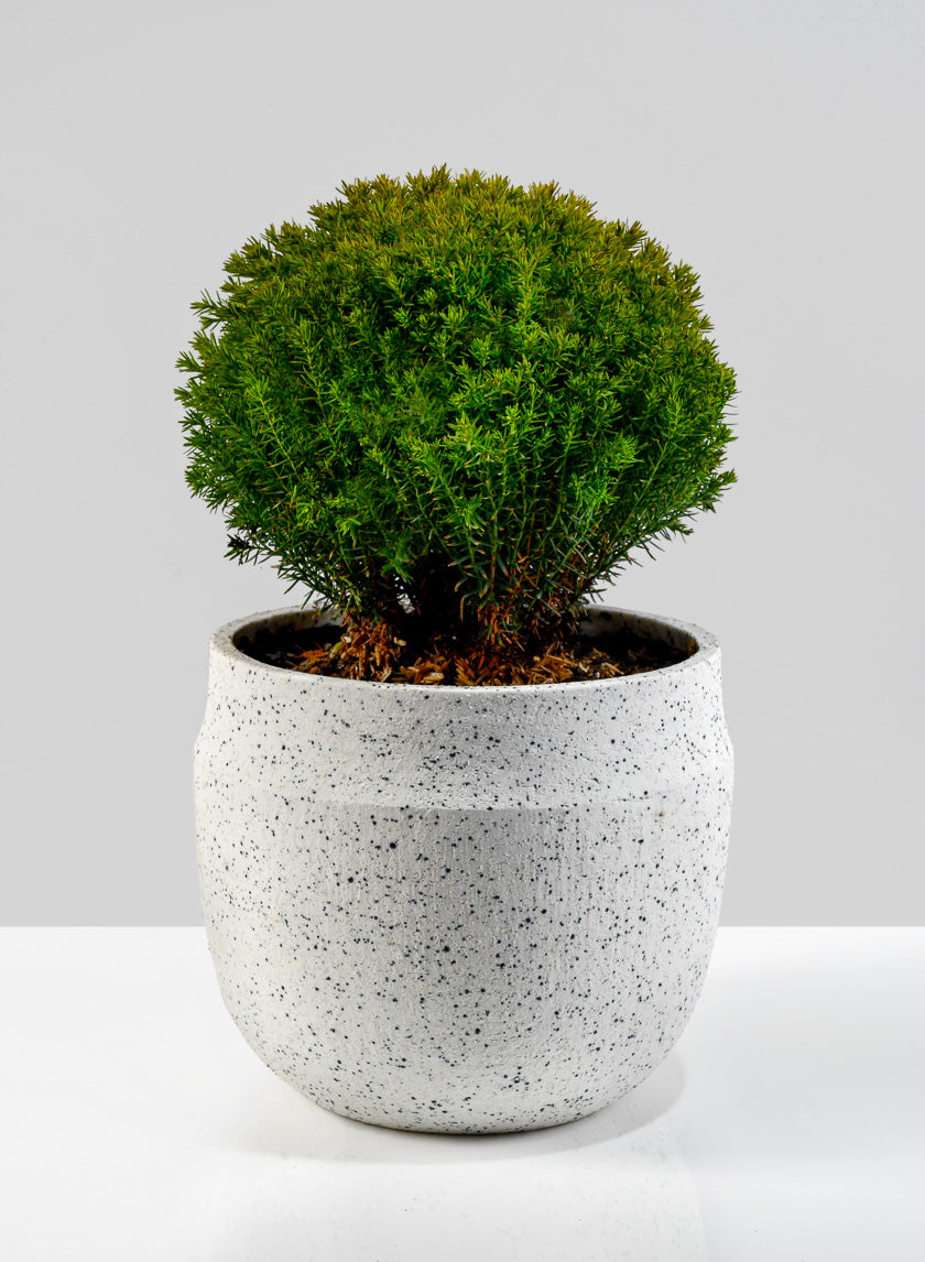 6.5in Wide White Granite Goki Bowl Decor Jamaligarden