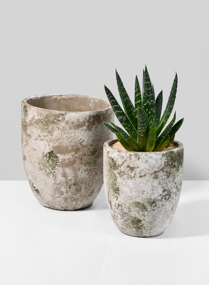 5in Tall Sturgeon Moon Aged Cement Planter Decor Jamaligarden