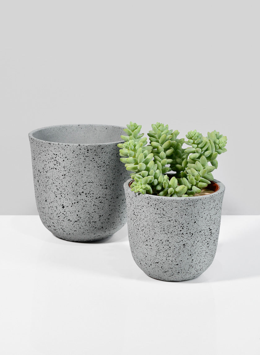 5in Tall Gojimara Cement Planter Decor Jamaligarden
