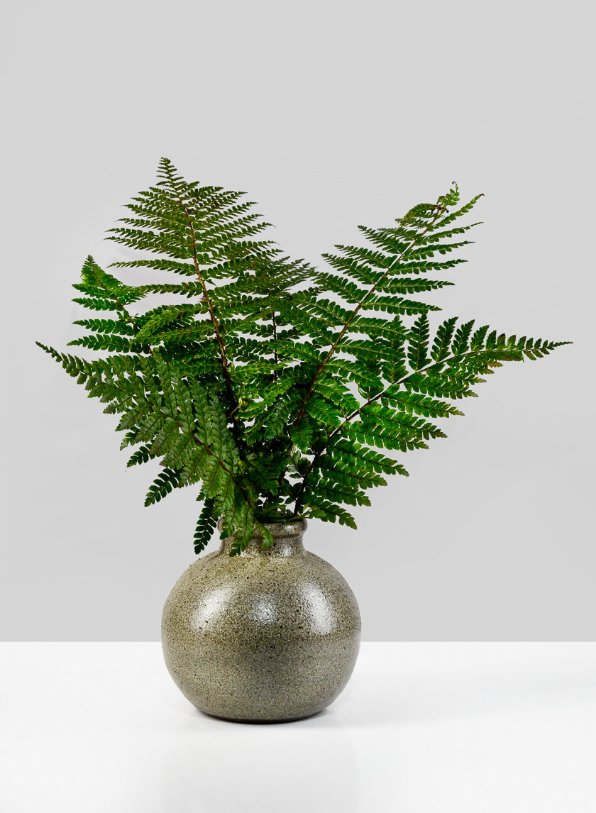 5.75in Wide Stone Uxmal Vase Decor Jamaligarden