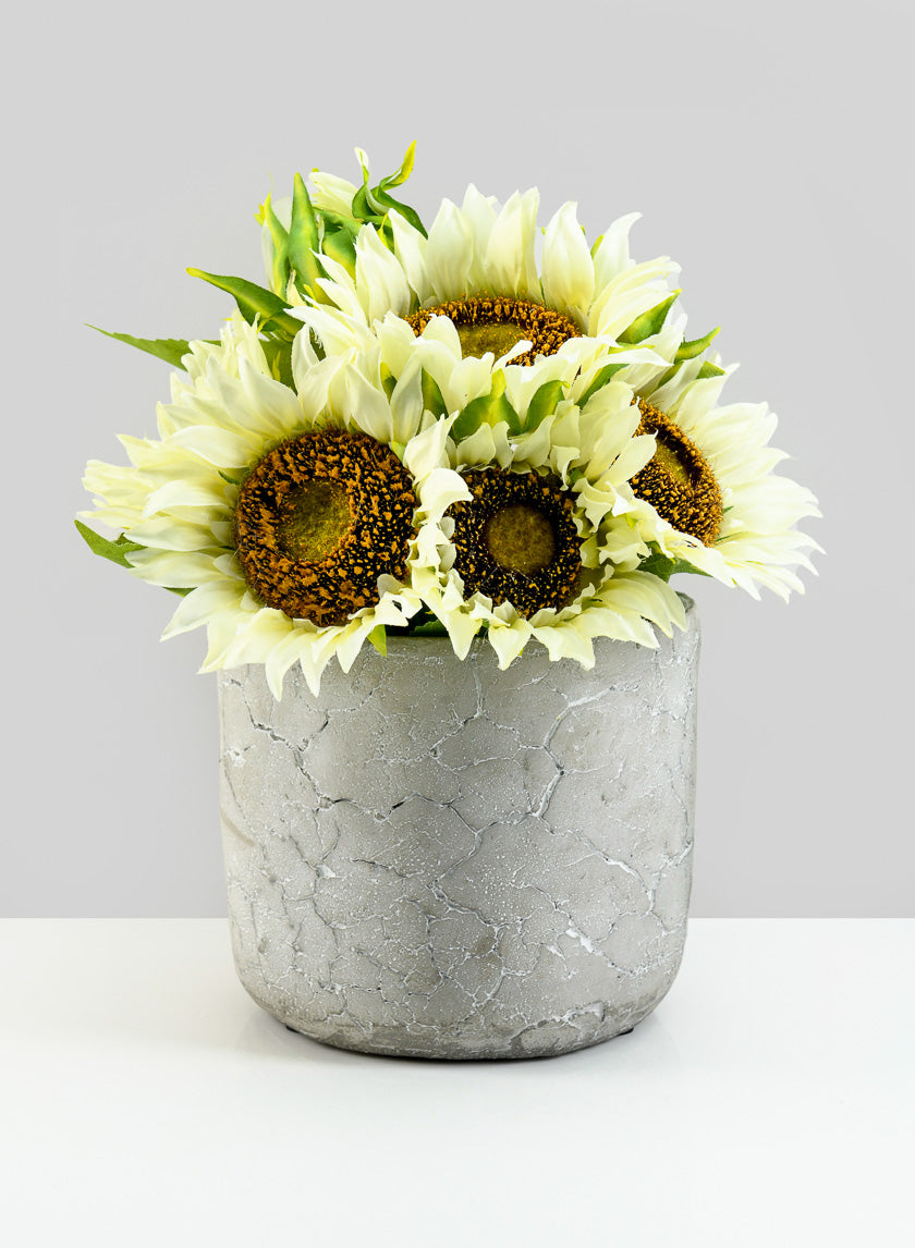 5.75in Tall Crackled Cement Pot Decor Jamaligarden