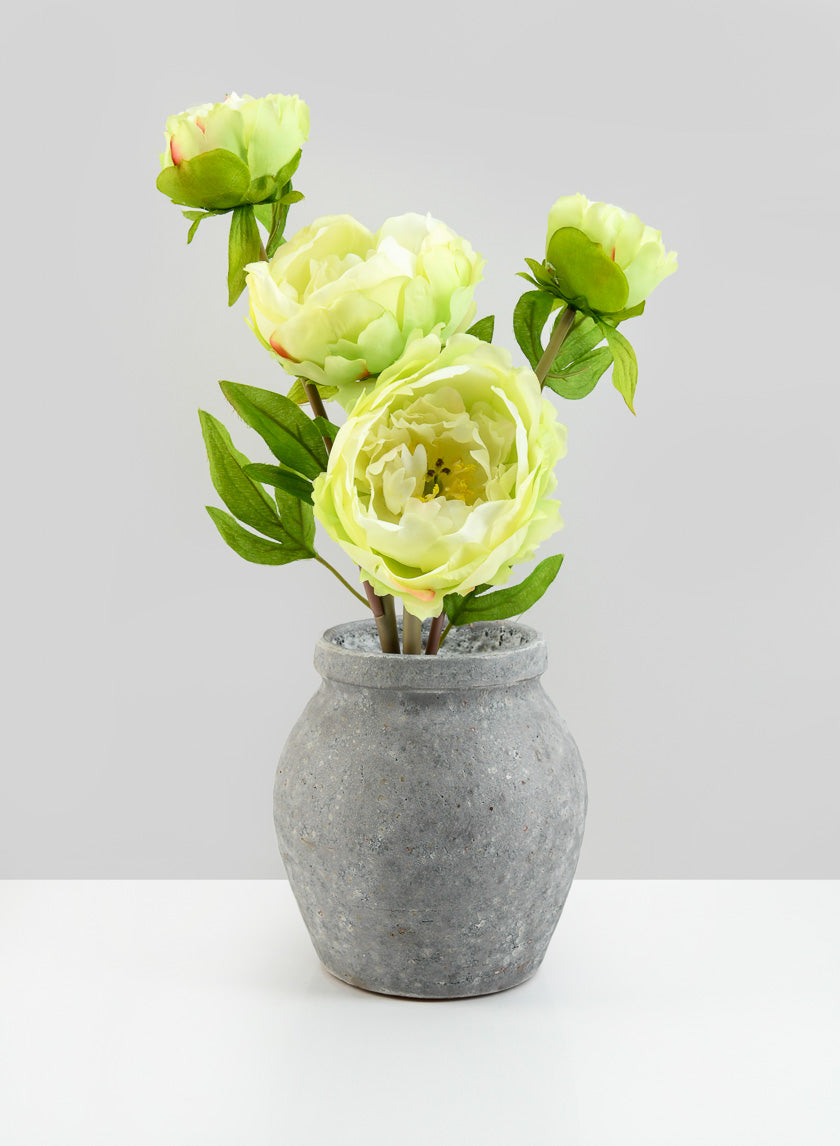 6in Tall Arita Aged Cement Amphora Vase Decor Jamaligarden