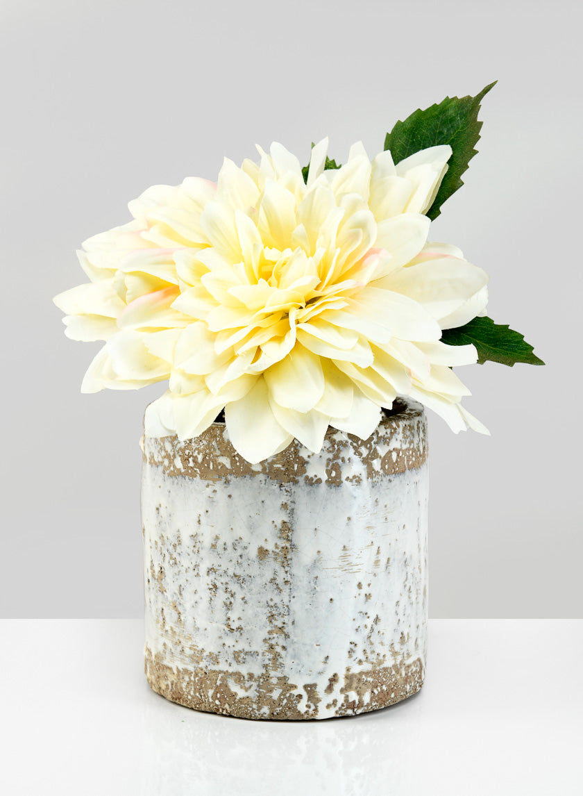 5.5in Tall Antique White Jardin Pot Decor Jamaligarden