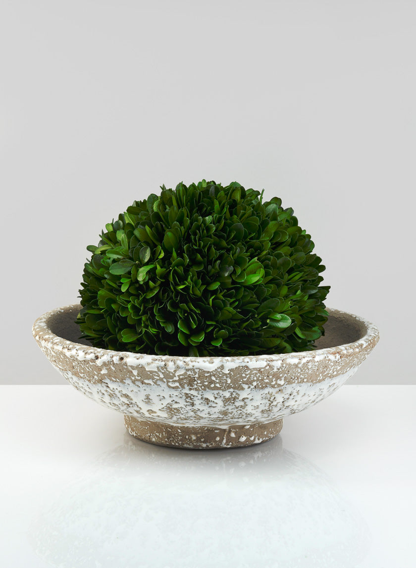 11.5in Wide Antique White Jardin Bowl Decor Jamaligarden