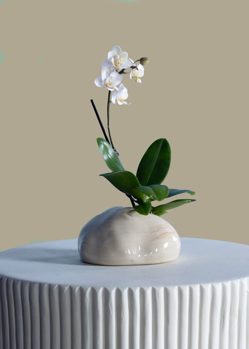 4.5in Wide Seto Artisan Mini Vase Decor Jamaligarden