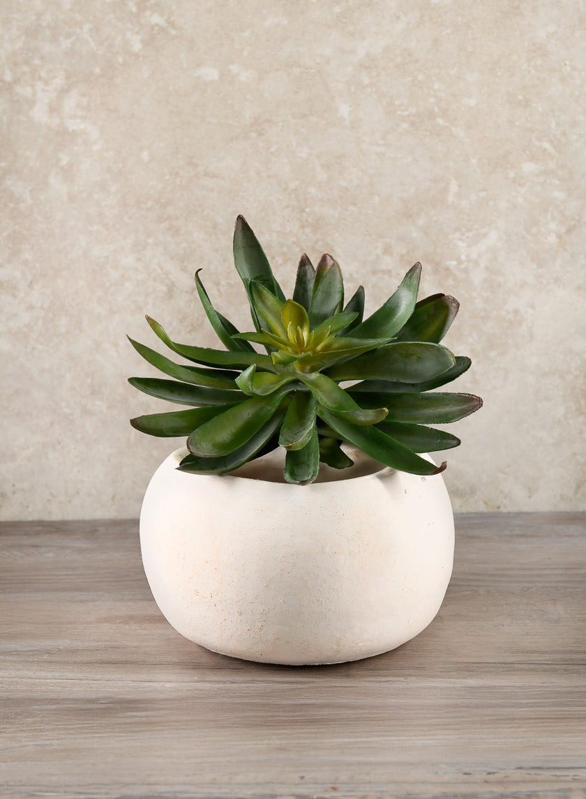 6in Wide Kasbah Natural Earth Tone Cement Bowl Decor Jamaligarden