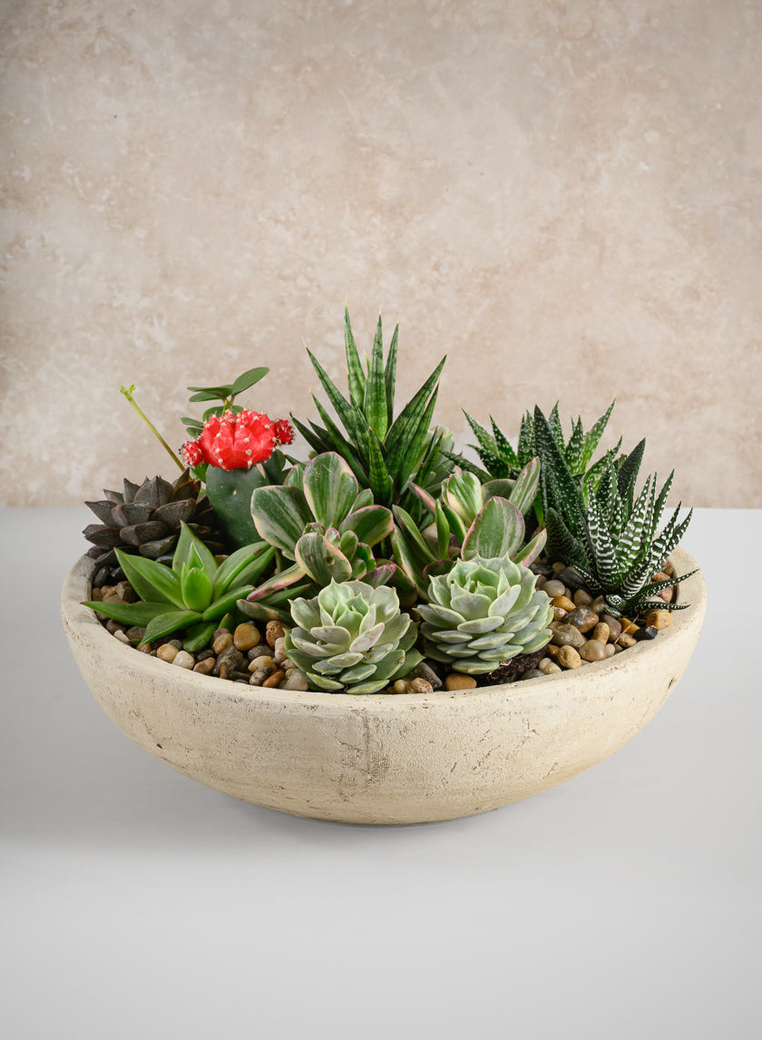12in Wide Amadora Sand Tone Centerpiece Stonware Bowl Decor Jamaligarden
