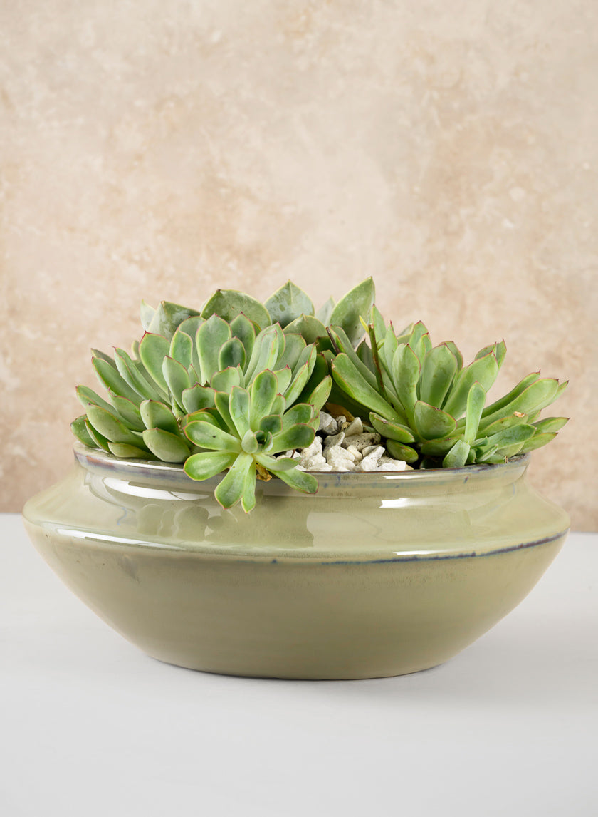 10.5in Wide Moss Green Glaze Ceramic Ikebana Bowl Decor Jamaligarden