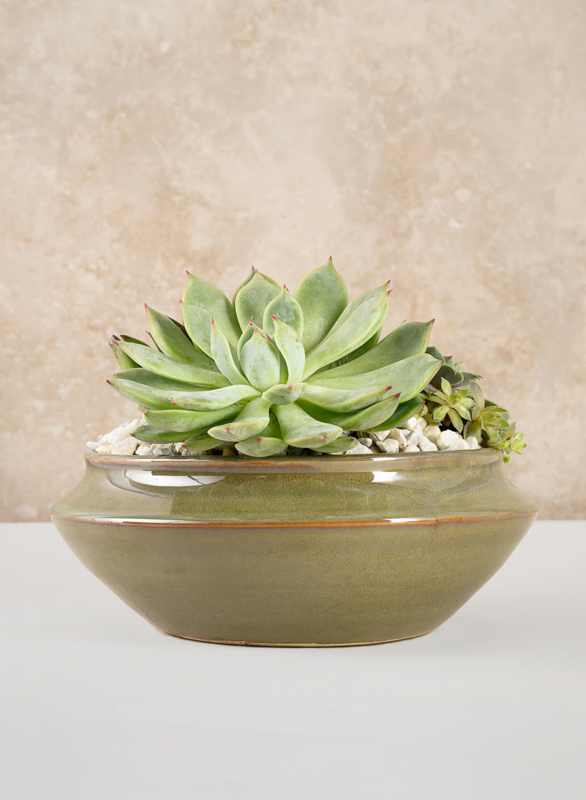 7.5in Wide Green Glaze Ceramic Ikebana Bowl Decor Jamaligarden