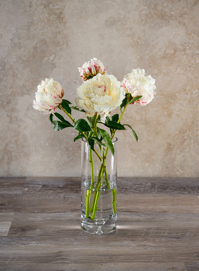 Luxe Cylinder Glass Vase Decor Jamaligarden