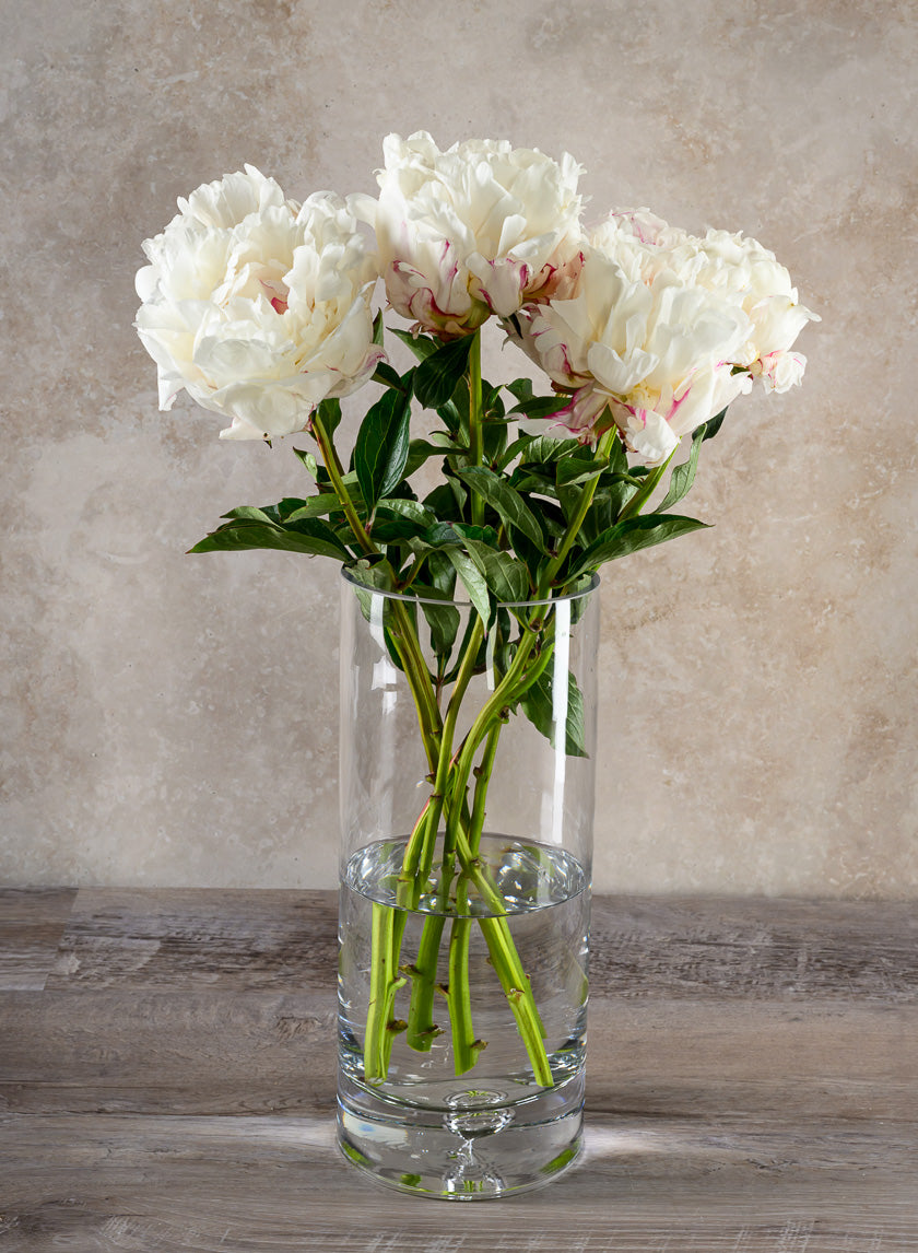Luxe Cylinder Glass Vase Decor Jamaligarden
