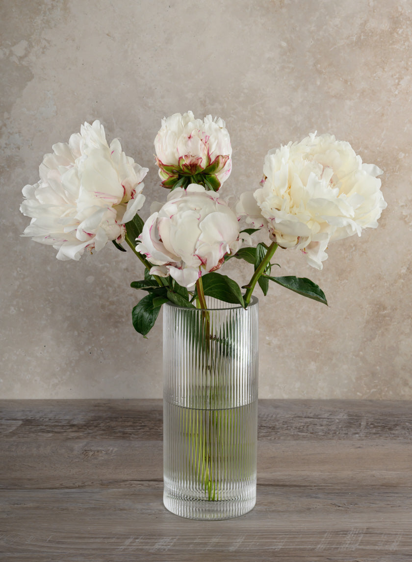 Vienna Pleated Glass Cylinder Decor Jamaligarden