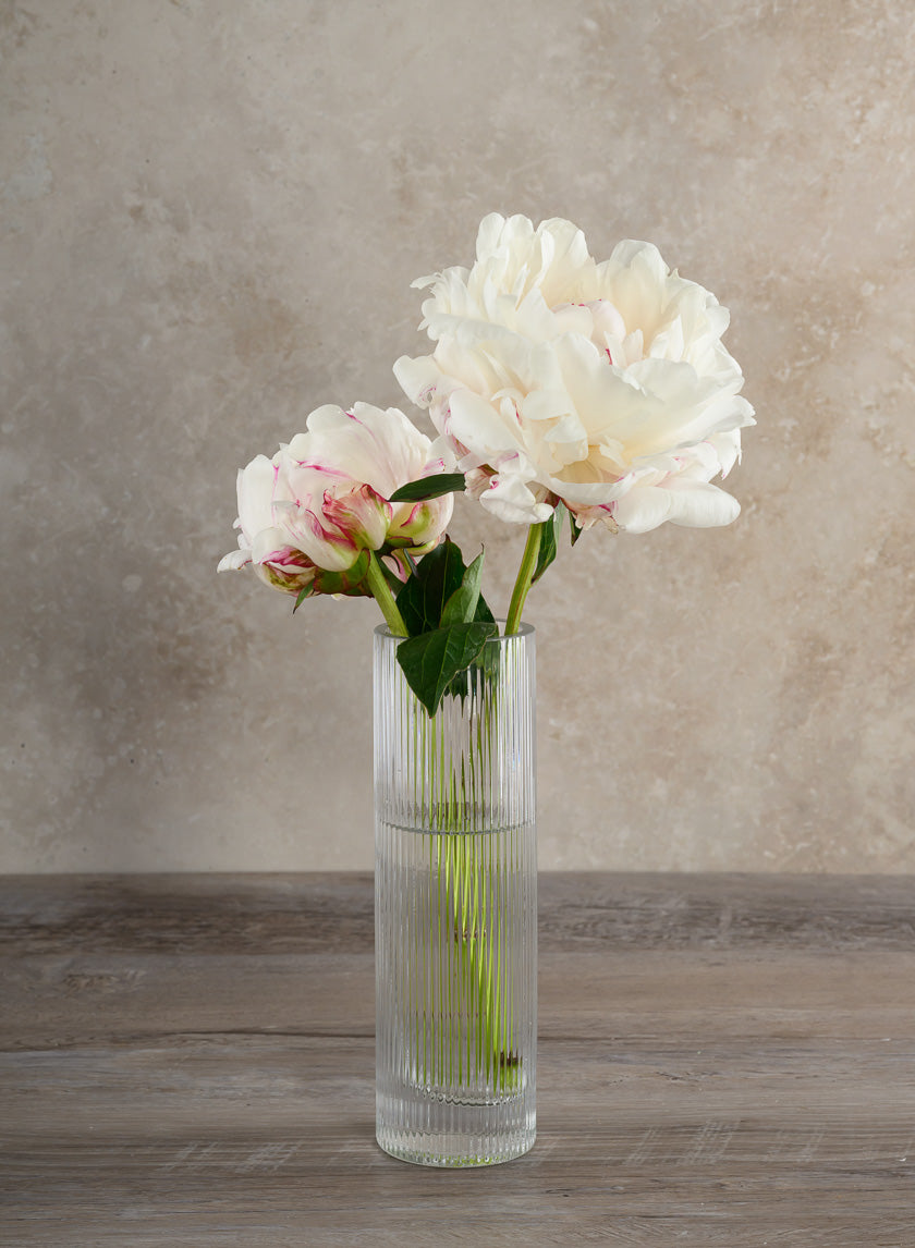 Vienna Pleated Glass Cylinder Decor Jamaligarden