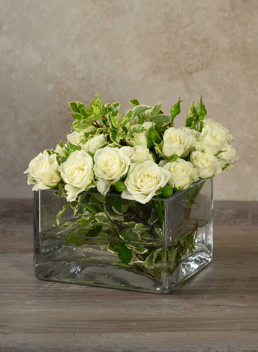 6in Long Low Cube Glass Bowl Vase Decor Jamaligarden