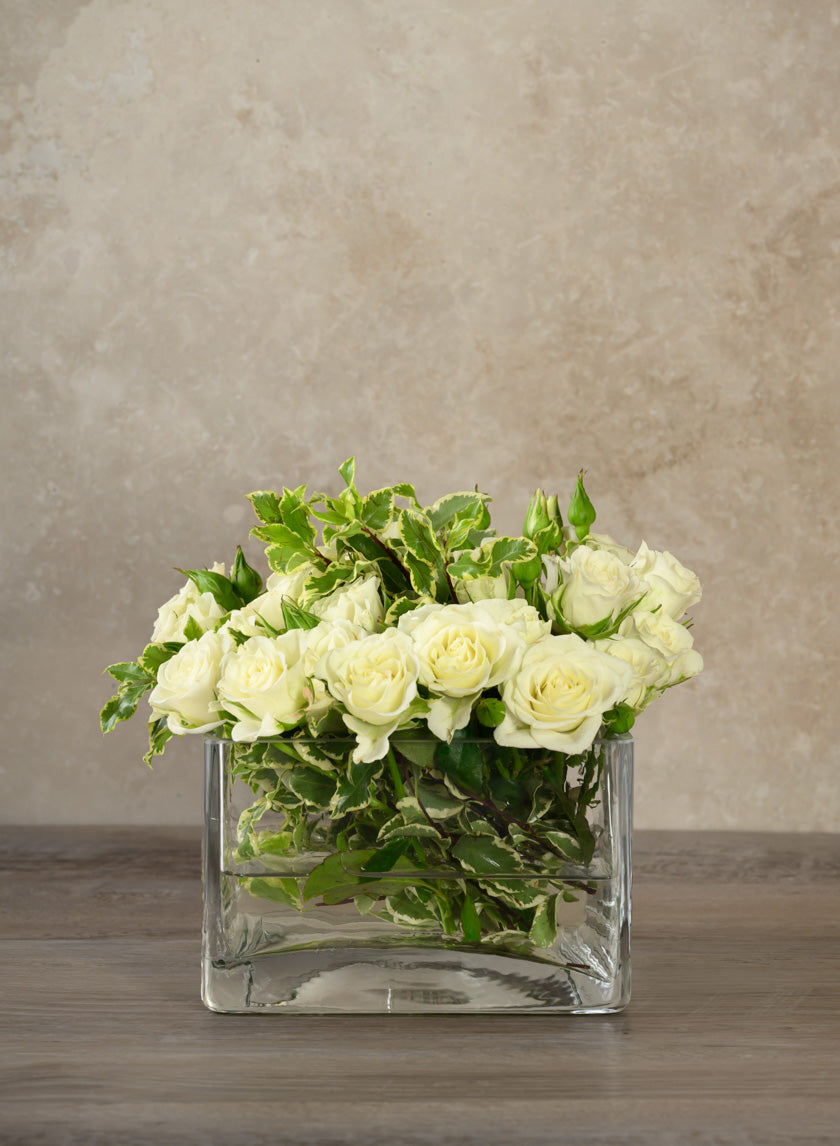 6in Long Low Cube Glass Bowl Vase Decor Jamaligarden