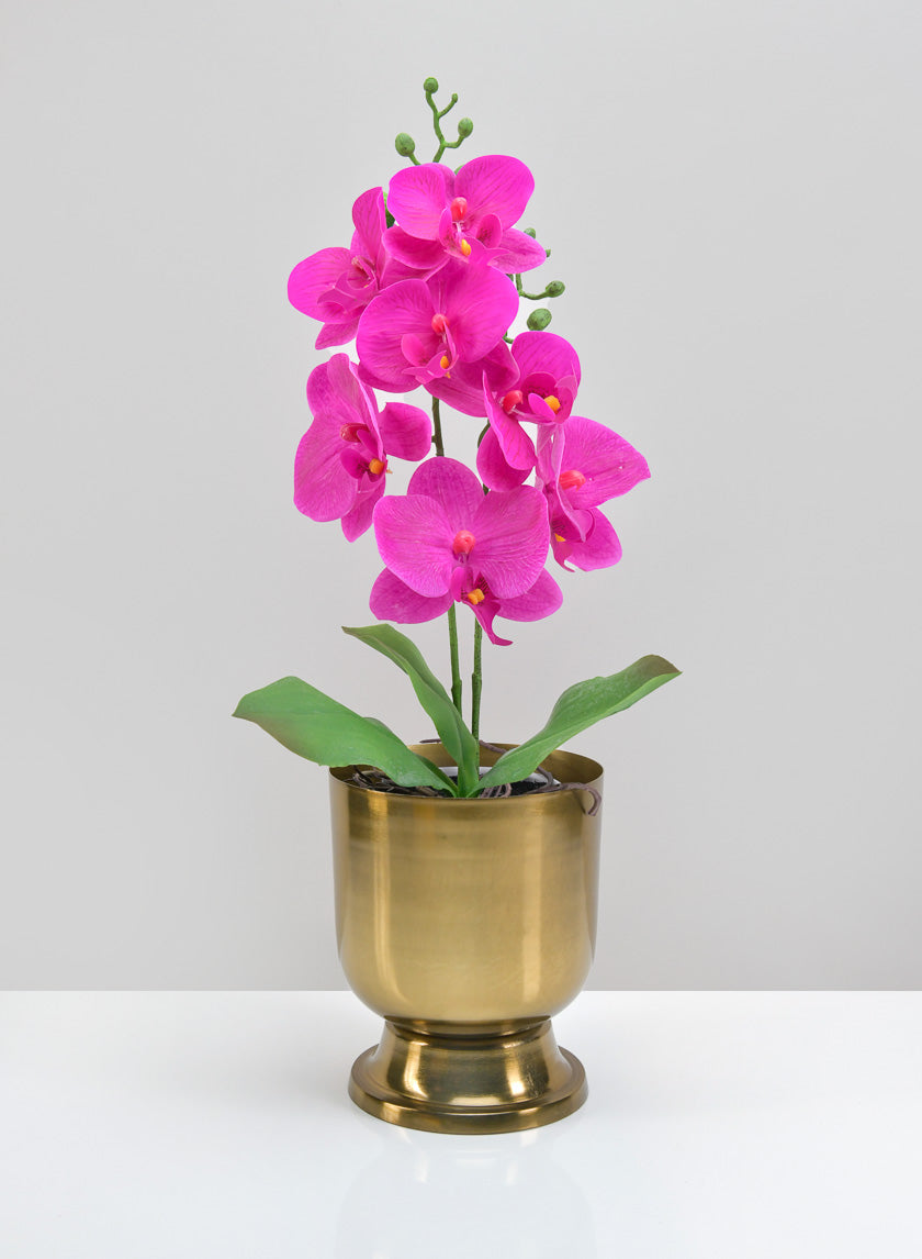 6.5in Tall Farhad Urn Decor Jamaligarden