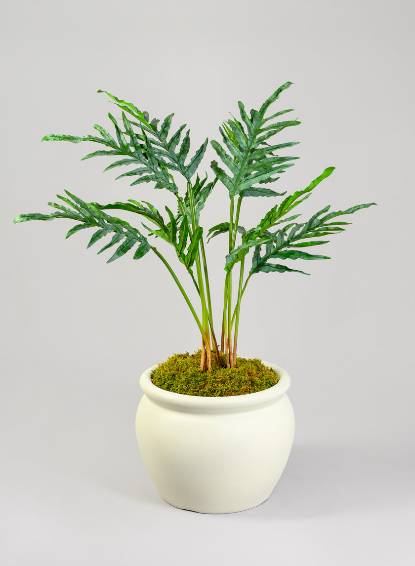 Rosetta White Real Look Light Weight PVC Bowl Planter Decor Jamaligarden