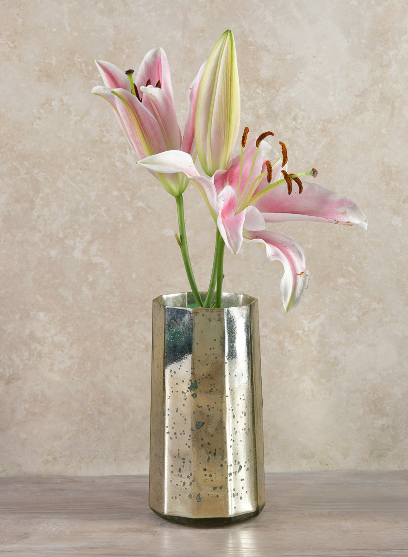 8in Tall Behram Old Silver Mercury Glass Vase Decor Jamaligarden